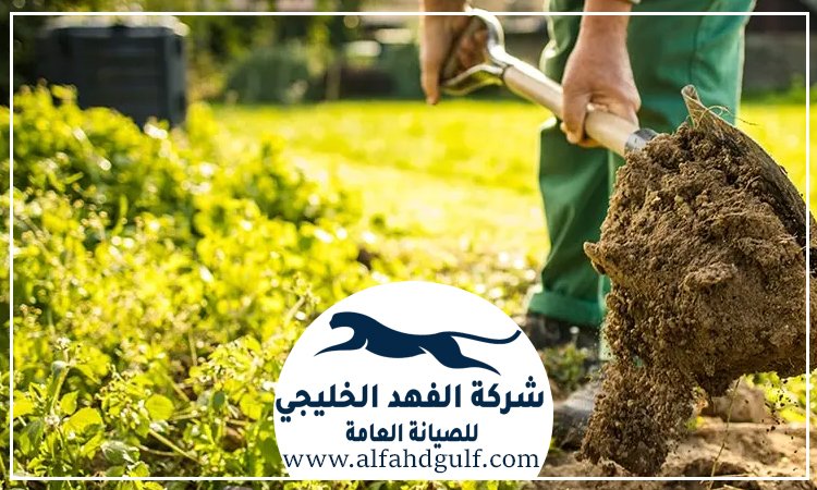 شركة لاندسكيب في كلباء
