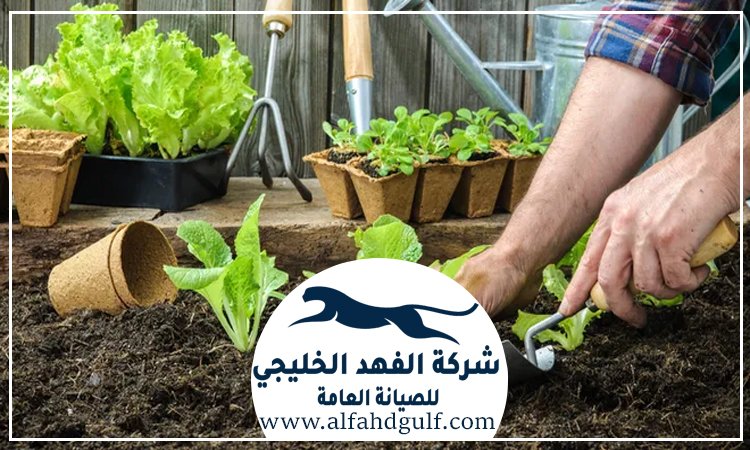 شركة لاندسكيب في راس الخيمة