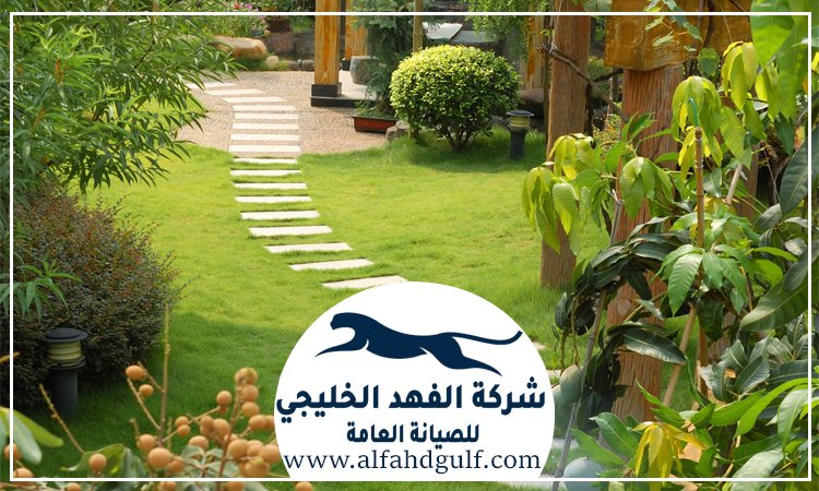 شركة لاندسكيب في ابوظبي