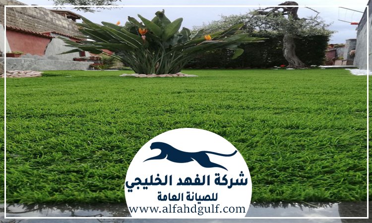 شركة تركيب عشب طبيعي في دبي