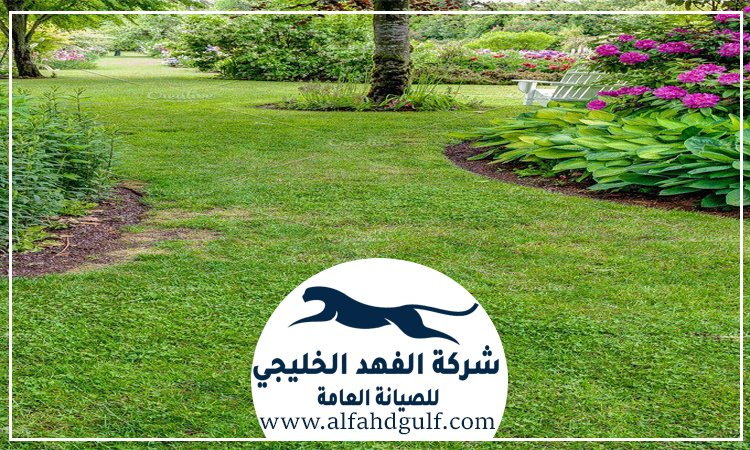 شركة تركيب عشب طبيعي في دبي