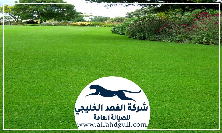 شركة تنسيق حدائق في الشارقة
