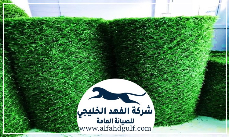 شركة تركيب عشب صناعي في الجيمي