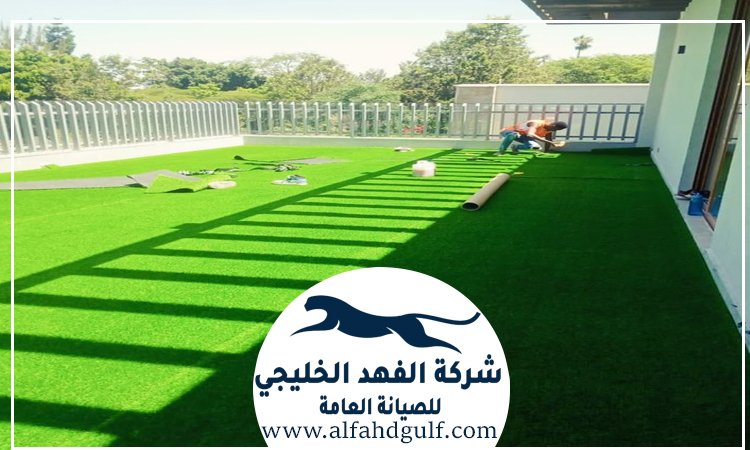 شركة تركيب حشيش في بني ياس