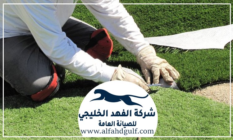 شركة تركيب حشيش في راس الخيمة