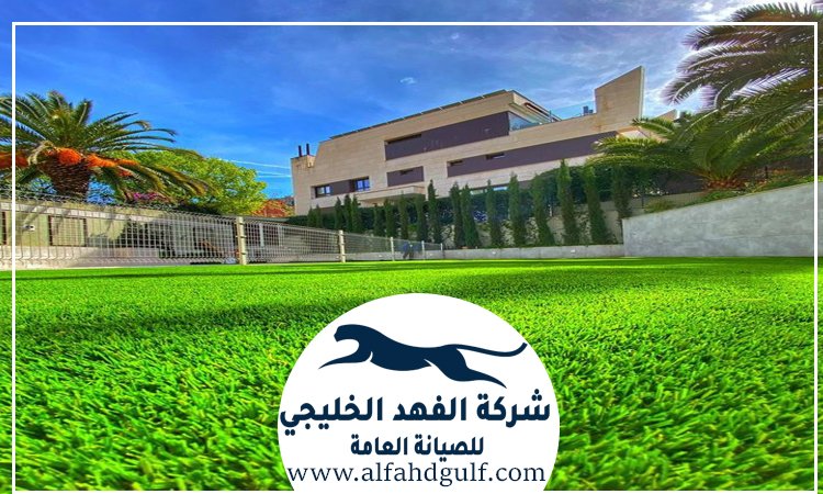 شركة تركيب حشيش في كلباء