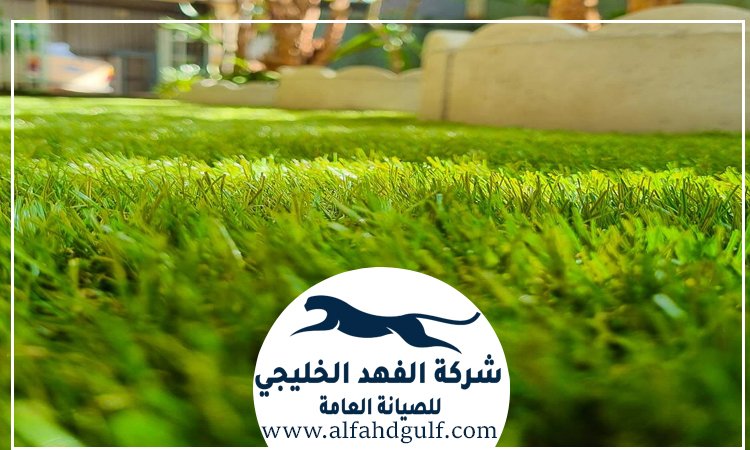 شركة تركيب حشيش في كلباء