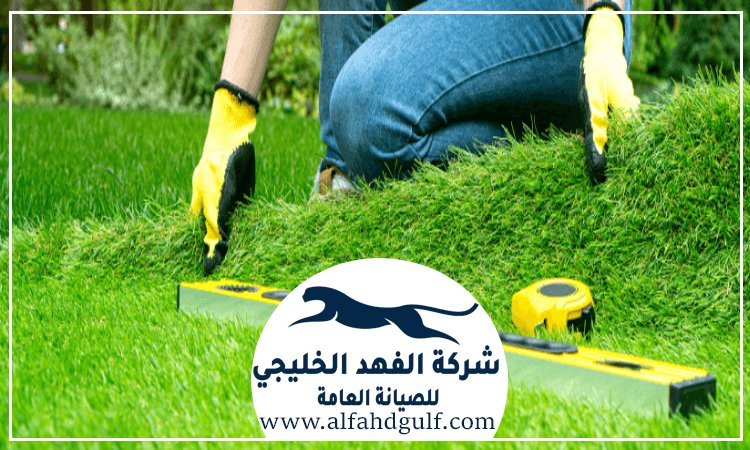 تركيب حشيش