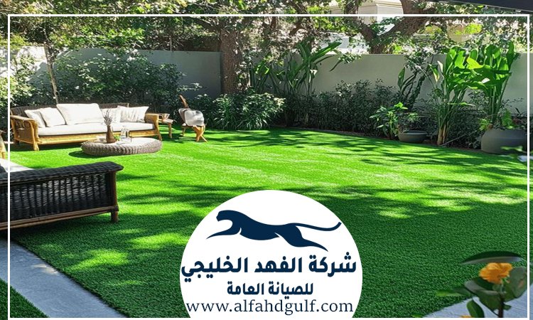 شركة تركيب حشيش في خورفكان