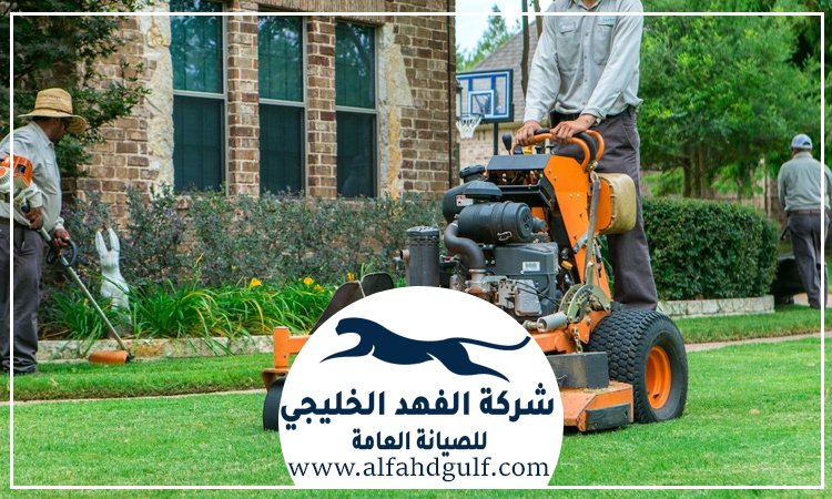 شركة لاندسكيب
