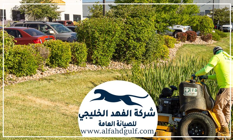 شركة لاندسكيب في الشهامة 