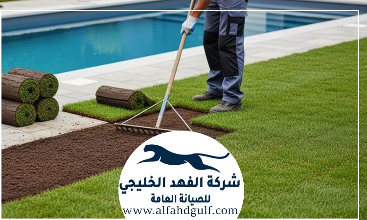 شركة تركيب حشيش في ابوظبي