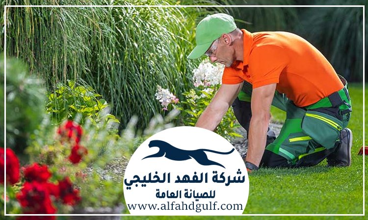 شركة لاندسكيب