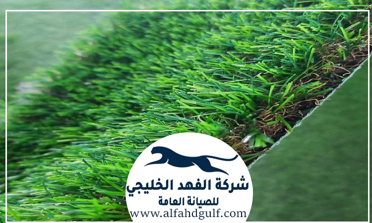 شركة تركيب حشيش في مصفح