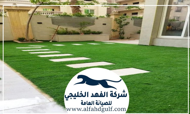 شركة تركيب حشيش في مصفح