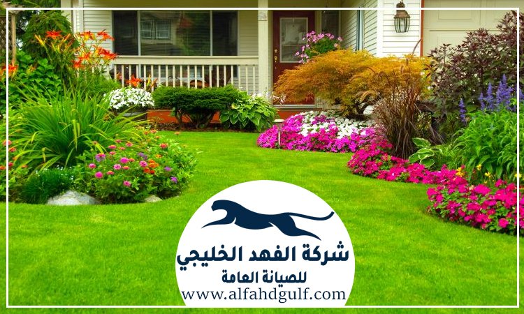 شركة لاندسكيب في عجمان