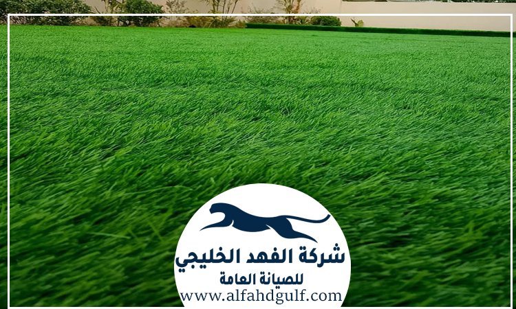 شركة تركيب حشيش في مصفح