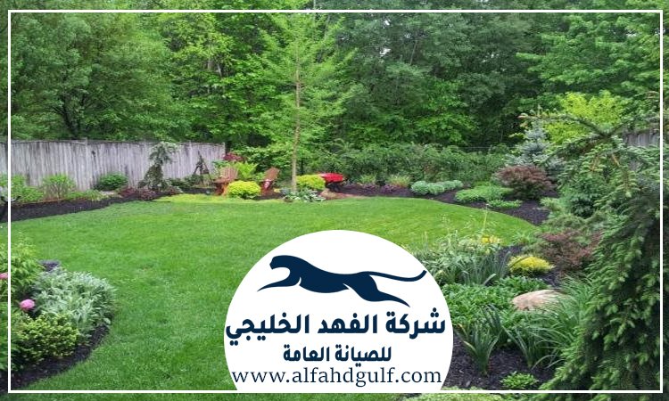 شركة تنسيق حدائق في الذيد