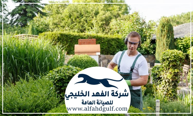 شركة لاندسكيب