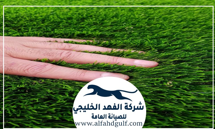 شركة تركيب حشيش في الذيد