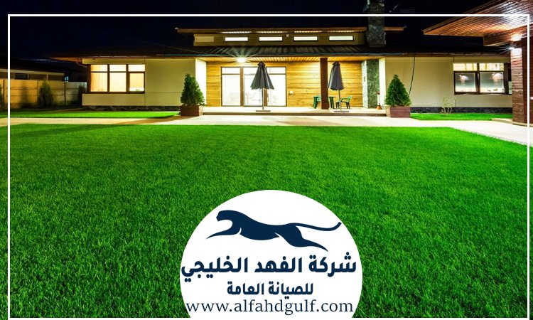 شركة تركيب حشيش في جميرا