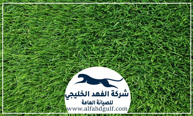 شركة تركيب ترتان في عجمان