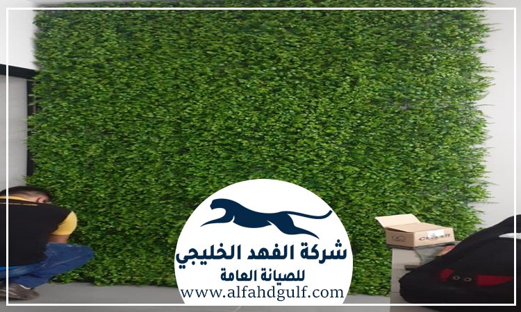 شركة تركيب ترتان في عجمان