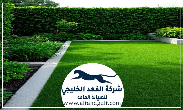 شركة تركيب ترتان في ام القيوين