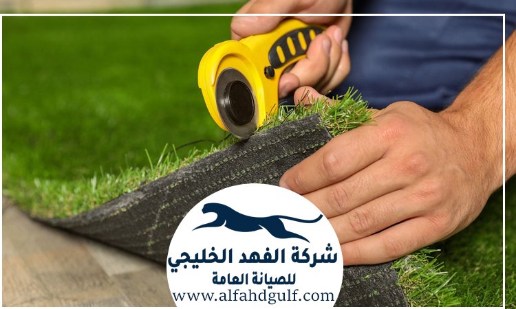 شركة تركيب حشيش في العين