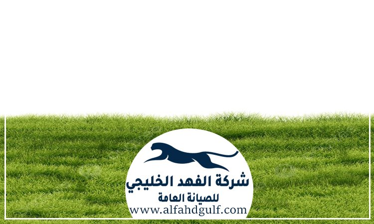 شركة تركيب عشب طبيعي في الشارقة