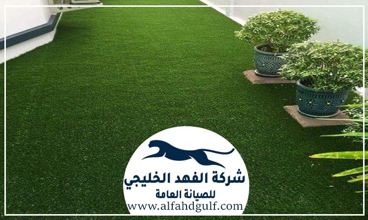 شركة تركيب حشيش في الفجيرة