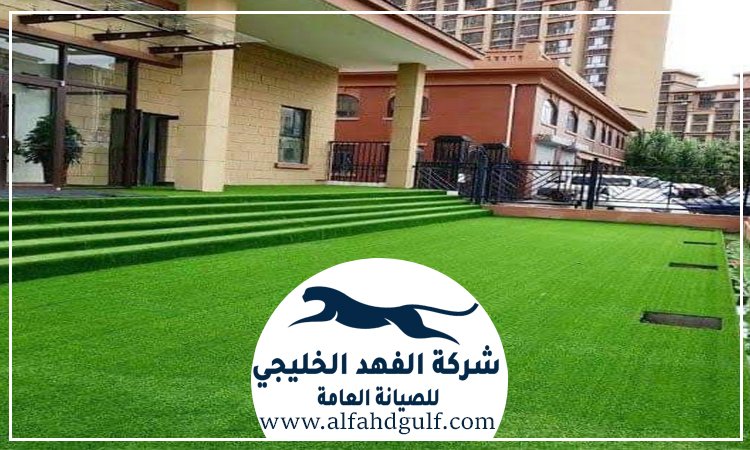 شركة تركيب حشيش في الفجيرة