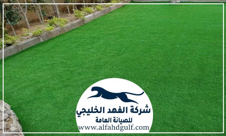 شركة تركيب حشيش في الفجيرة