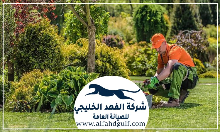  شركة لاندسكيب في خورفكان