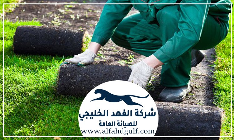 شركة تركيب عشب طبيعي في الشارقة