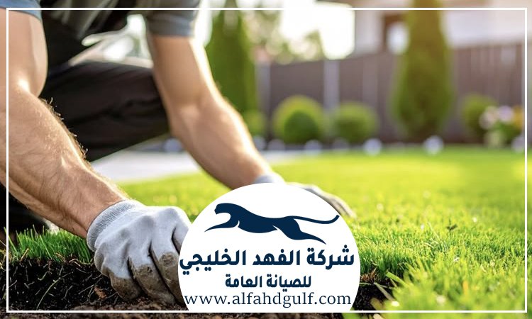 شركة تركيب عشب طبيعي في ام القيوين