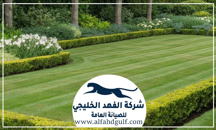 شركة تركيب عشب صناعي في راس الخيمة