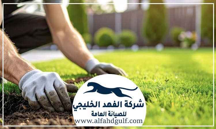 شركة تركيب عشب صناعي في جميرا