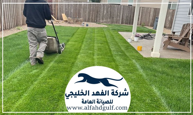 شركة تركيب عشب صناعي في جميرا