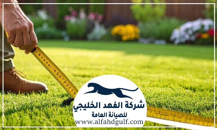 شركة تركيب عشب طبيعي في ام القيوين