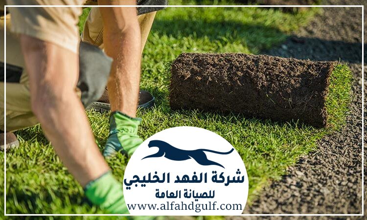شركة تركيب عشب صناعي في الذيد