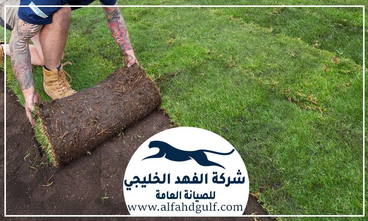 شركة تركيب عشب صناعي في الشهامة