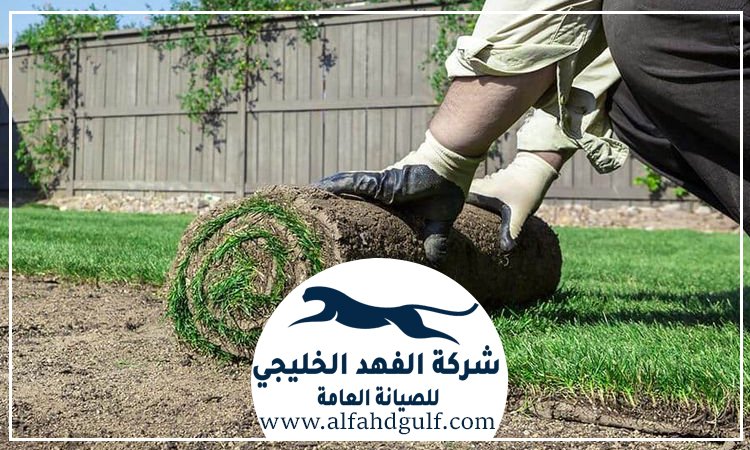 شركة تركيب عشب صناعي في الشهامة