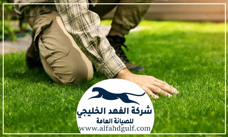 شركة تركيب عشب صناعي في الشهامة