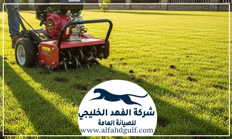 شركة تركيب عشب صناعي في مصفح