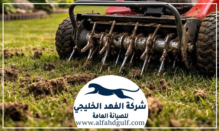 شركة تركيب عشب صناعي في مصفح