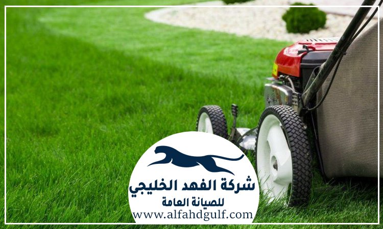 شركة تركيب عشب صناعي في مصفح