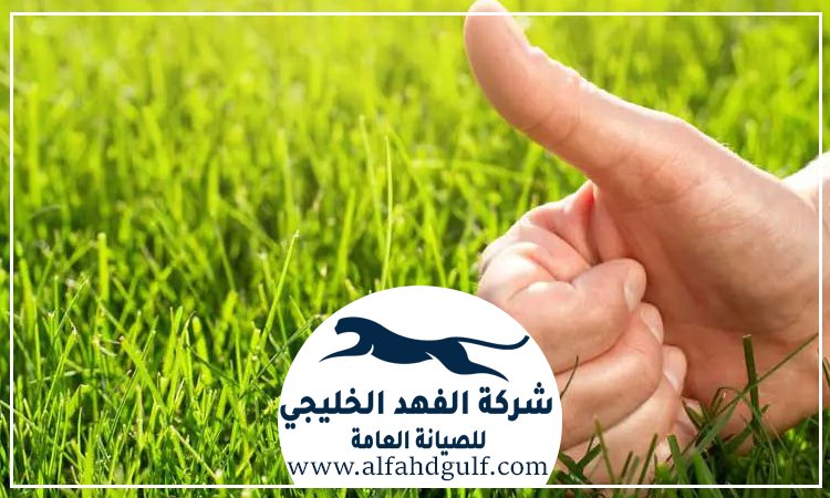 شركة تركيب عشب صناعي في الرحبة
