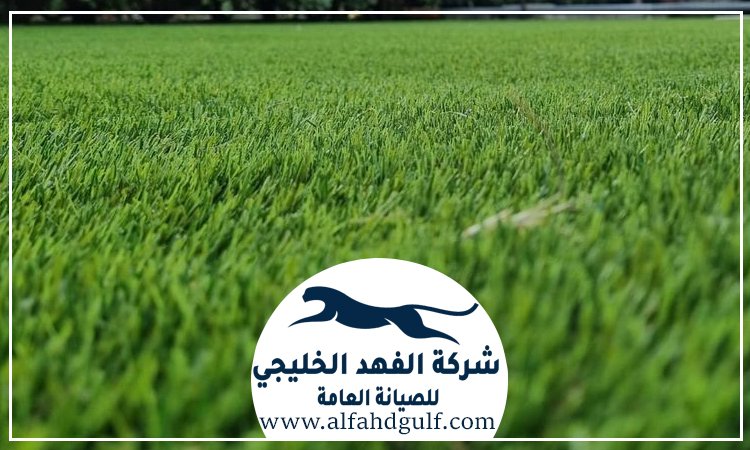 شركة تركيب عشب صناعي في خورفكان