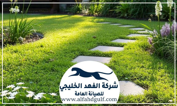 شركة تركيب عشب صناعي في كلباء